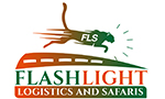 Flash-Retina-Logo